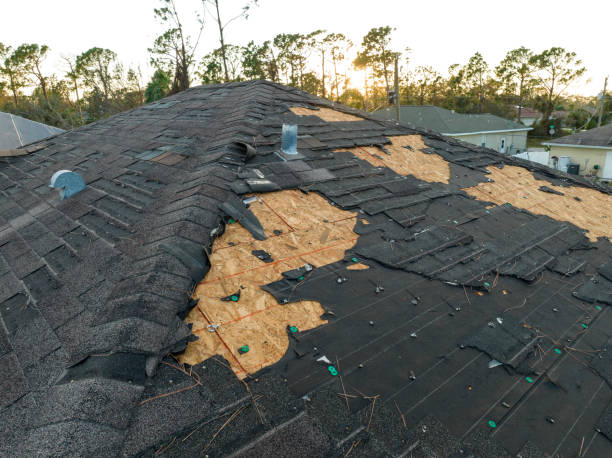 Best Roof Ventilation Installation  in Livermore, CA