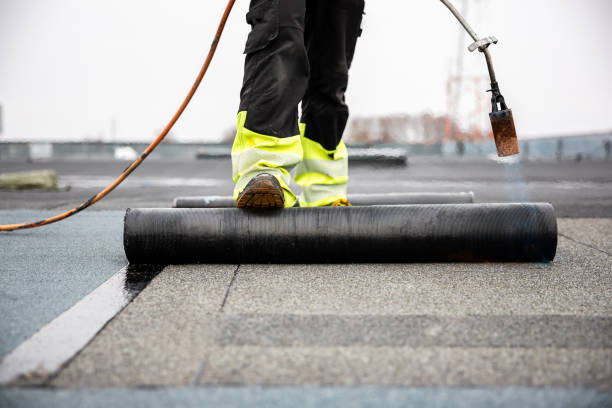 Best Skylight Installation and Repair  in Livermore, CA
