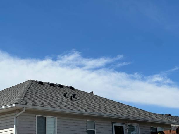 Best Roof Insulation Installation  in Livermore, CA
